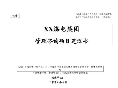 XX戰(zhàn)略建議書 企業(yè)管理咨詢的關(guān)鍵路徑與實(shí)施指南